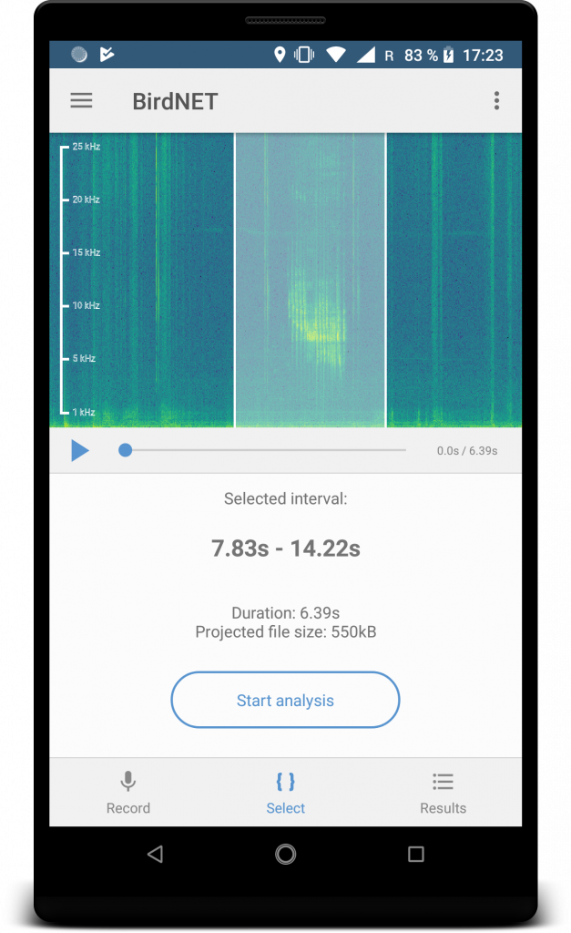 What is BirdNET? – BirdNET Sound ID