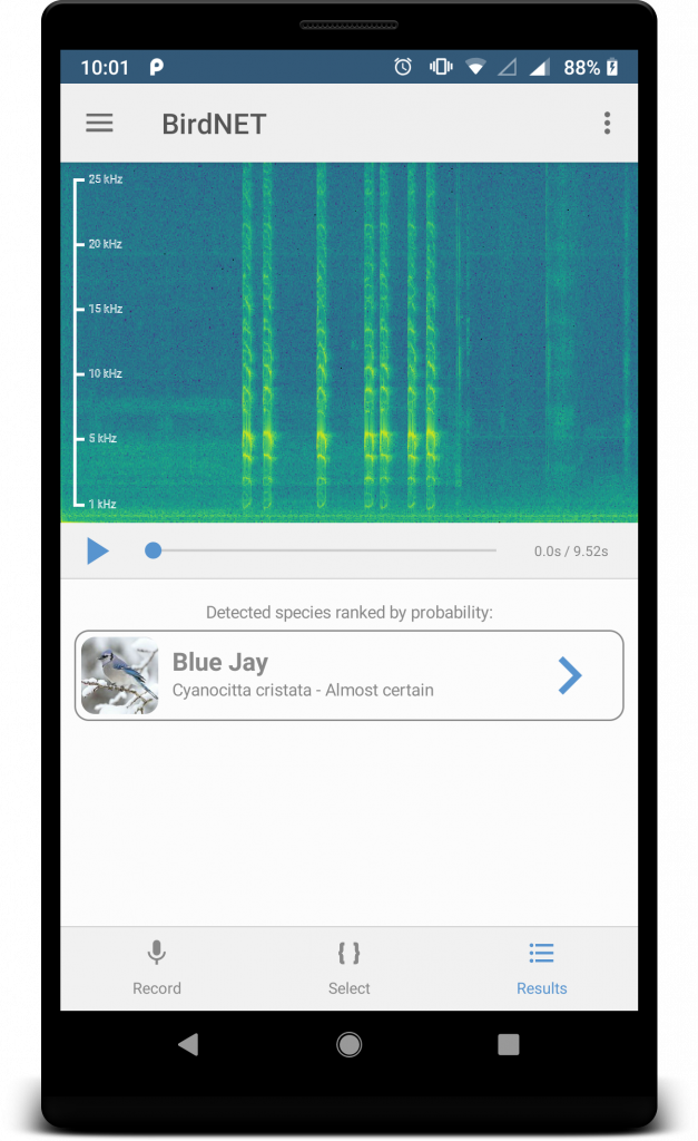 BirdNET Sound ID – The Easiest Way To Identify Birds By Sound.