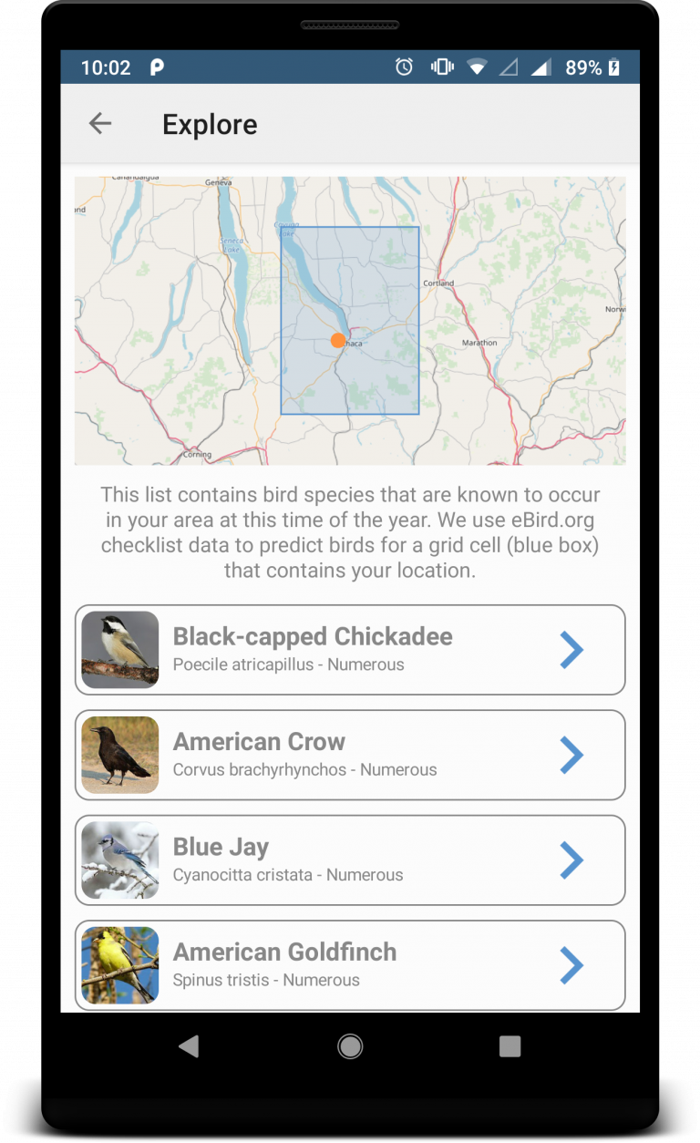 BirdNET Sound ID – The Easiest Way To Identify Birds By Sound.