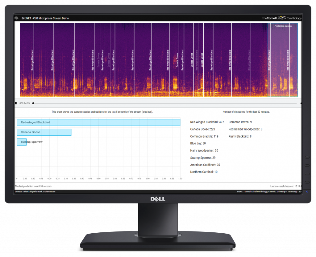 BirdNET Sound ID – The Easiest Way To Identify Birds By Sound.