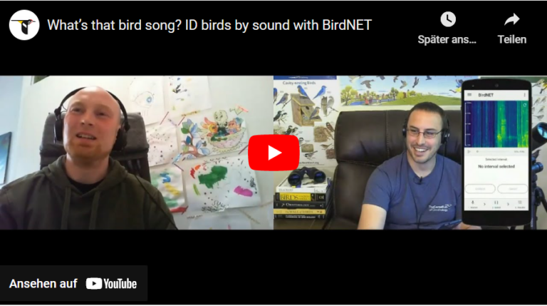 BirdNET Sound ID – The Easiest Way To Identify Birds By Sound.