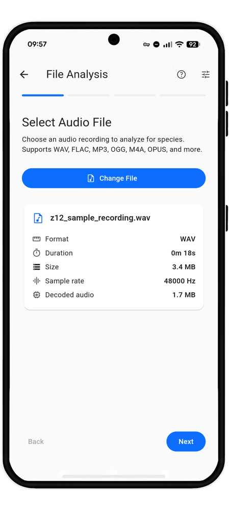 File Analysis