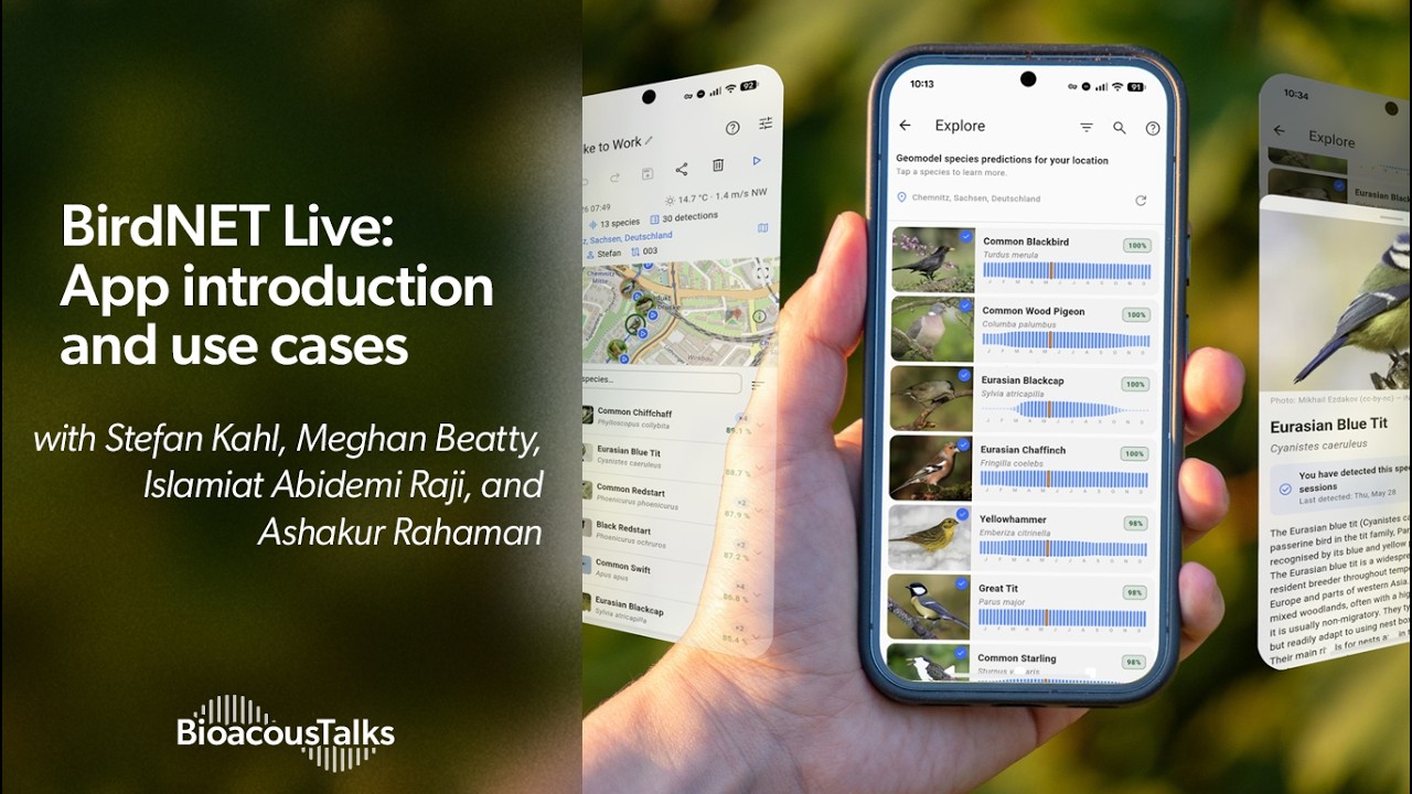 BioacousTalks: BirdNET Live - App Introduction and Use Cases