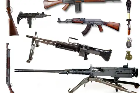 Gun